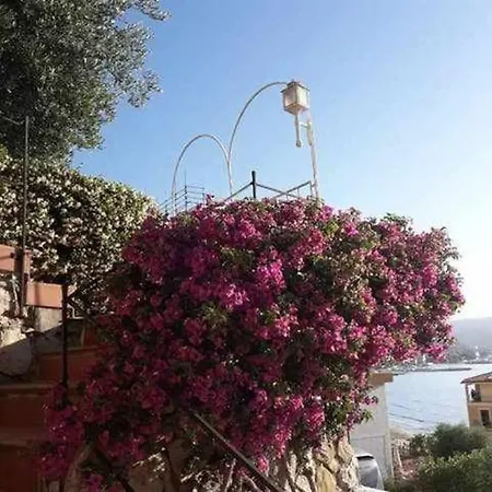 Apartamento Cozy Golea Mare - With Sea View