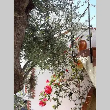 Cozy Golea Mare - With Sea View Diano Marina